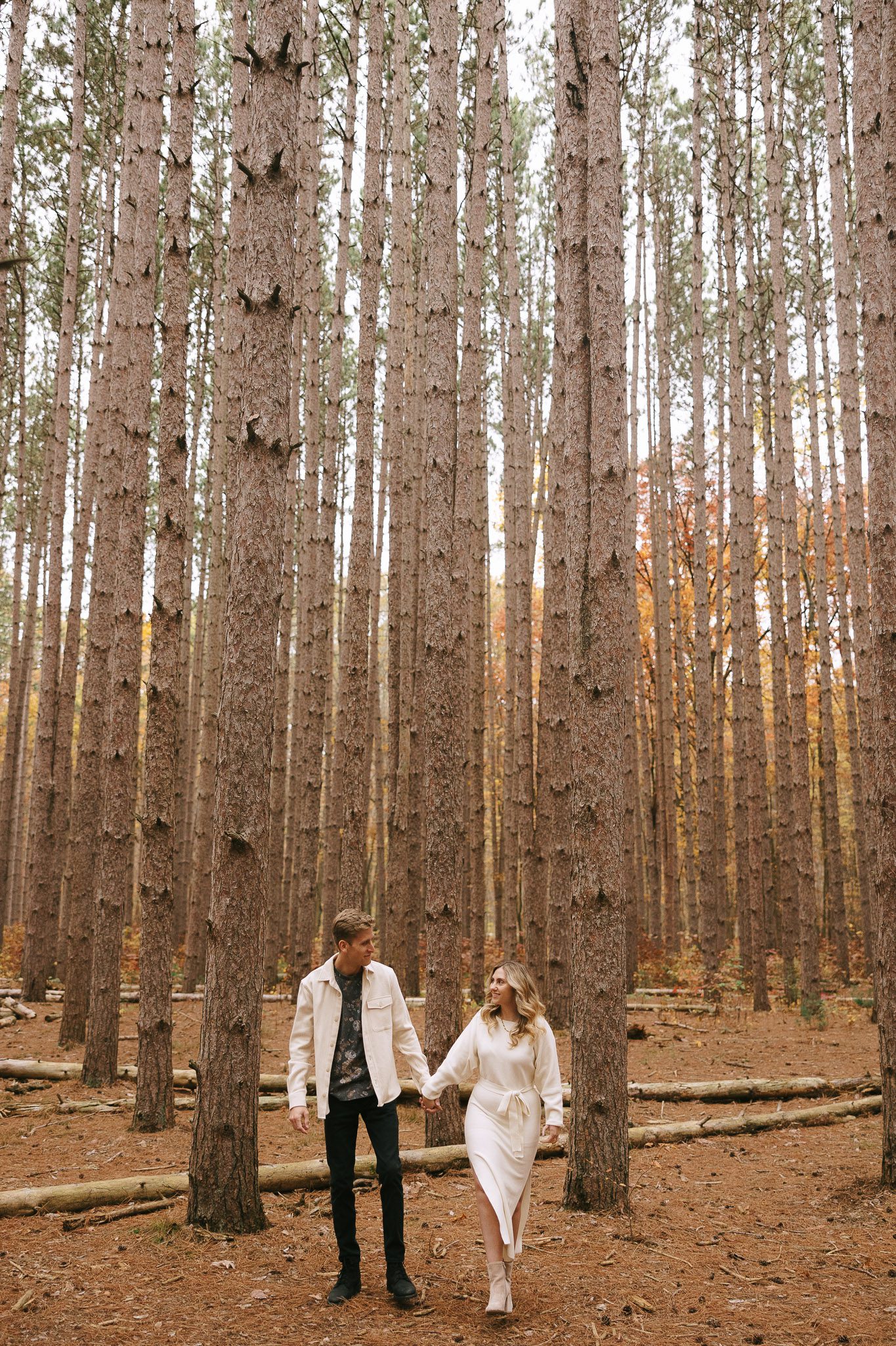 Sophia and Brad walk through an oak grove for their oak openings engagement photos