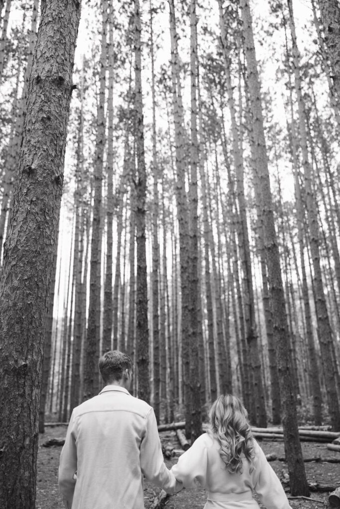 Sophia and Brad walk through an oak grove for their oak openings engagement photos