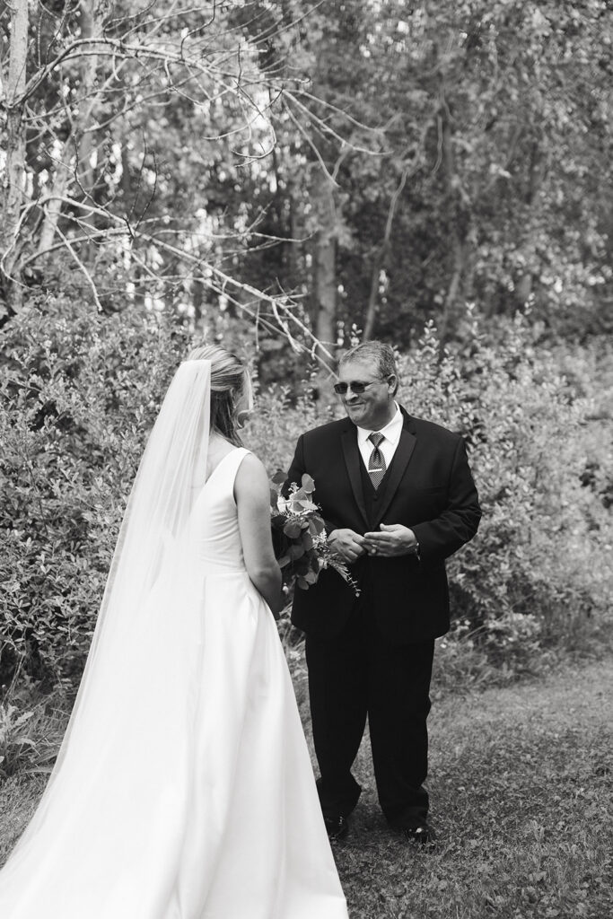 The brides first look with her dad