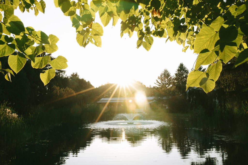 A sunset view of the lake at Bloom and Bower