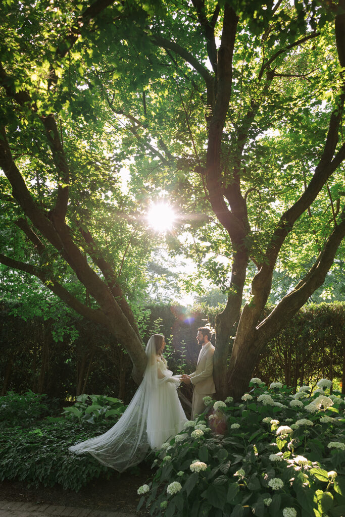 Bride and groom holding hands under tall trees as sunlight streams through the leaves, surrounded by white hydrangeas.