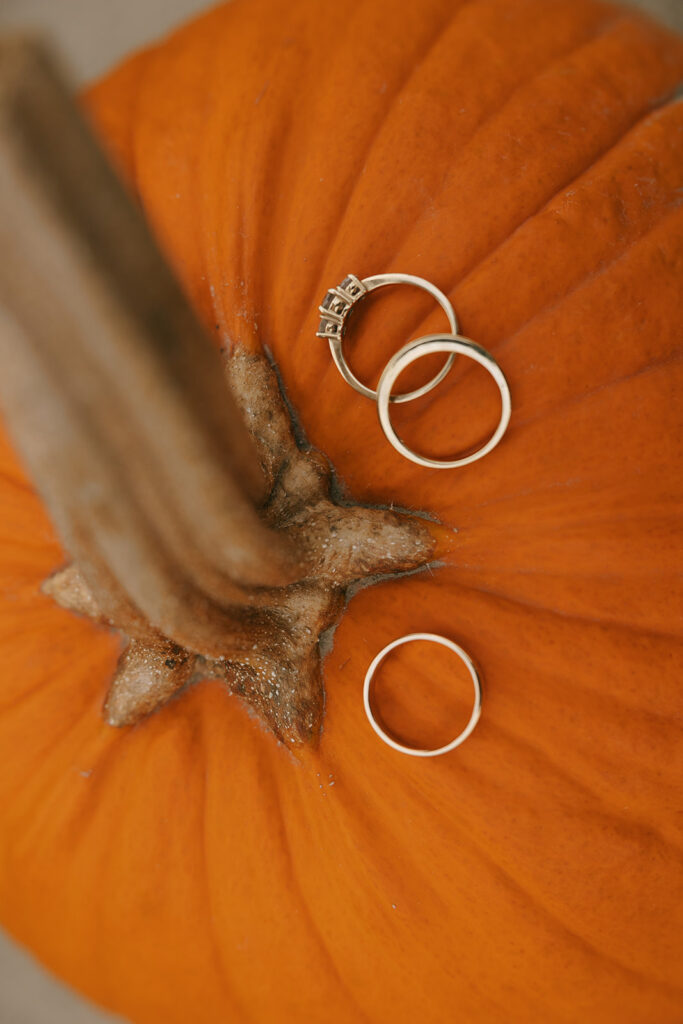 Wedding rings styled on pumpkin stem, seasonal flat-lay detail often included in photography tips for the morning of your wedding.